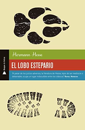 estepario in english|estepario spanish translation.